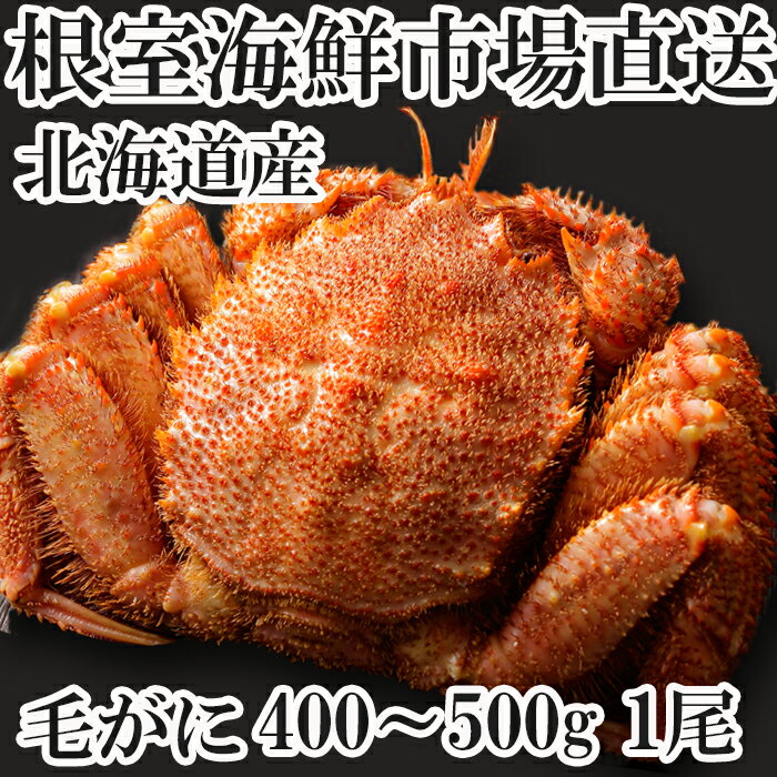 【ふるさと納税】ボイル毛がに400g〜500g×1尾 A-11176