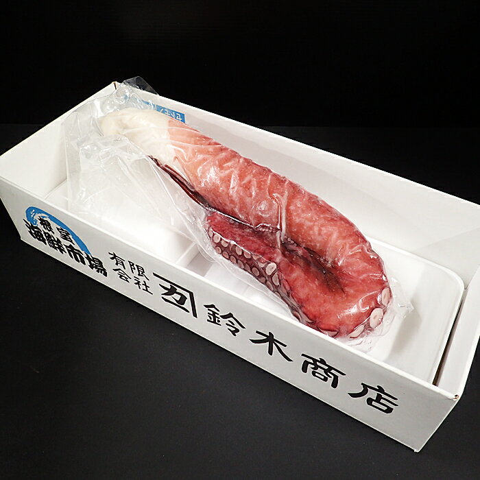 【ふるさと納税】【12月10日決済確定分まで年内配送】 [北海道根室産] 刺身用たこ足 1 本 ( 1kg 以上 ) 蛸 タコ お取り寄せ グルメ 海鮮 蛸足 たこ足 タコあし 蛸あし たこあし 北海道 根室市 ふるさと納税 A-11213