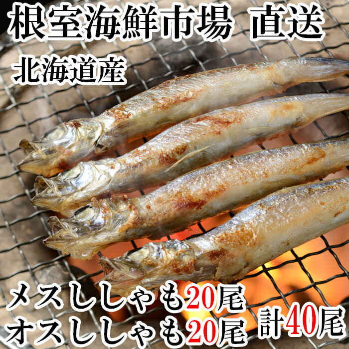 魚介類・水産加工品(シシャモ)人気ランク59位　口コミ数「0件」評価「0」「【ふるさと納税】 本ししゃも(オス・メス)各20尾セット A-11231」