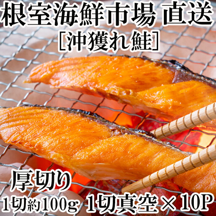 【ふるさと納税】天然沖獲れ鮭1切×10P(約1kg) B-11060 1