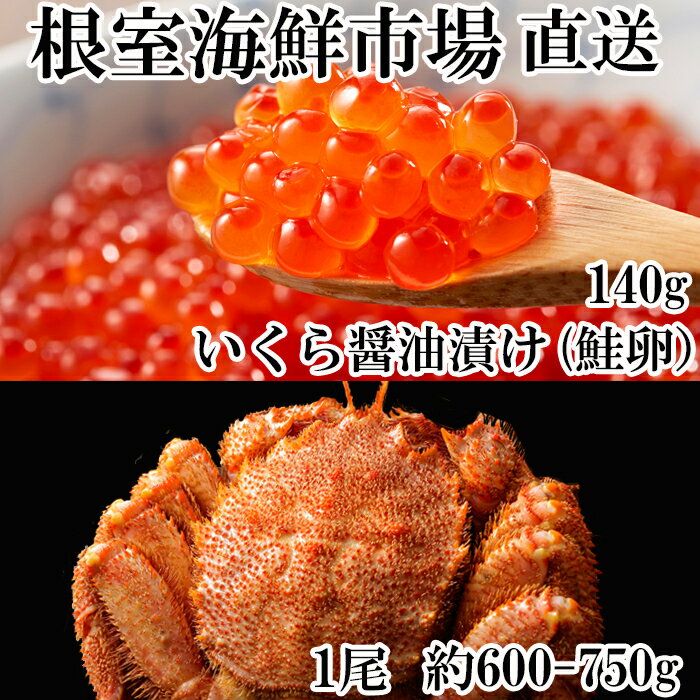 【ふるさと納税】ボイル毛がに(新物)約600～750g×1尾といくら醤油漬け(鮭卵)70g×2P B-11089