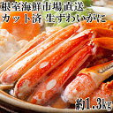 【ふるさと納税】生食可!カット済み生ずわいがに約1.3kg(お刺身・焼きガニ・カニ鍋等) B-11099