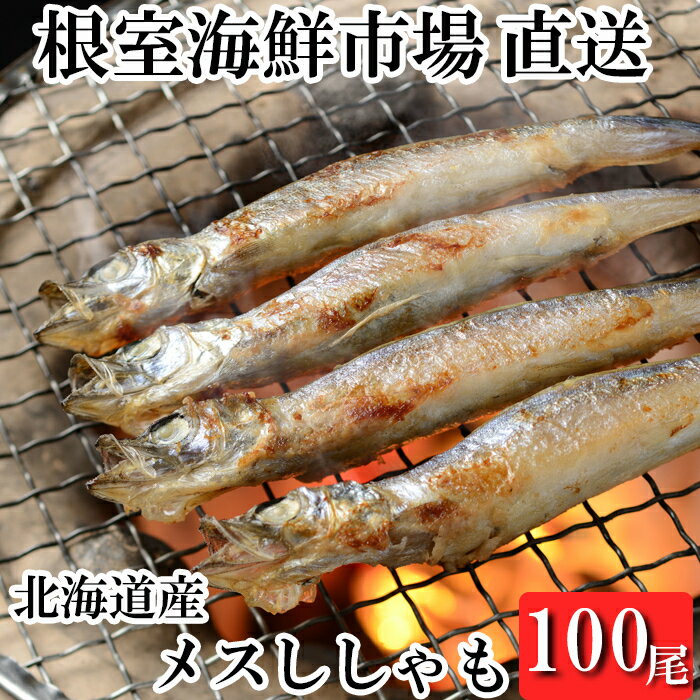 魚介類・水産加工品(シシャモ)人気ランク34位　口コミ数「0件」評価「0」「【ふるさと納税】 メスししゃも10尾×10串(計100尾) B-11107」