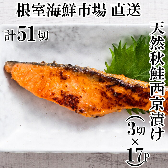 ڤդ뤵ǼǡŷҤ3ڿ17P(51) B-11115