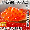 【ふるさと納税】いくら醤油漬け(秋鮭卵)(新物)170g×5