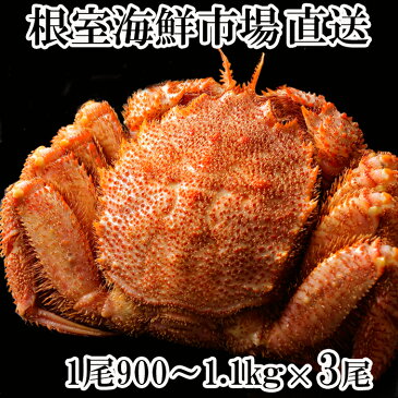 【ふるさと納税】 ボイル毛がに900g〜1.1kg×3尾 D-11015