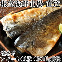 【ふるさと納税】 塩さばフィーレ 11 枚入 × 1P サバ 鯖 さかな サカナ 魚 お取り寄せ グルメ 海鮮 塩サバ 塩鯖 しおさば 北海道 根室市 ふるさと納税