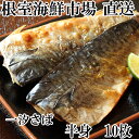 【ふるさと納税】 無添加天然サバフィーレ 10 枚 さば 鯖 魚 さかな サカナ お取り寄せ グルメ 海鮮 一汐さば 半身 焼き魚 おかず 北海道 根室市 ふるさと納税 G-11022