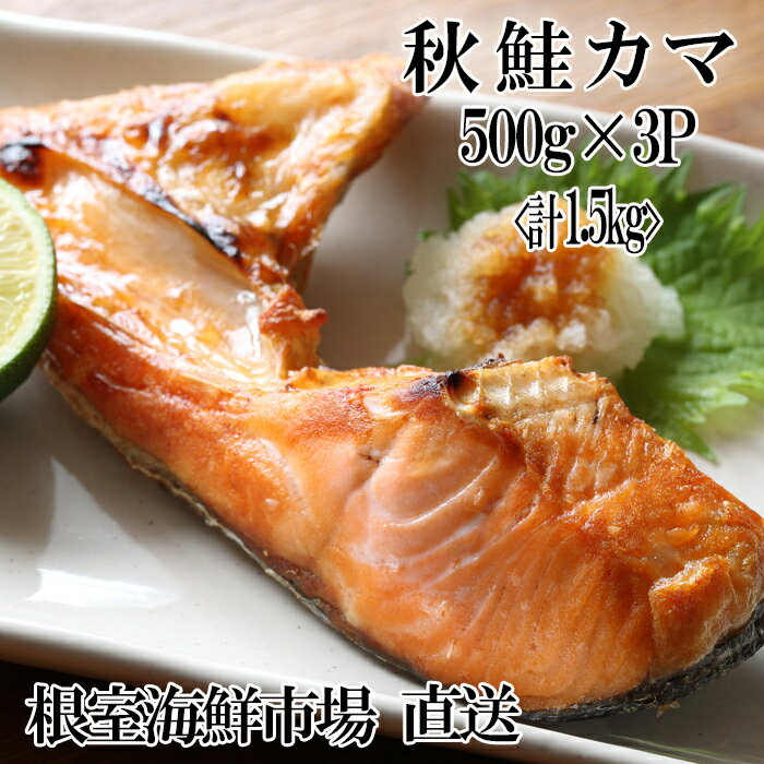 【ふるさと納税】【12月10日決済確定分まで年内配送】 甘汐天然秋鮭カマ 500g × 3P ( 計 1.5kg ) 鮭 さけ サケ しゃけ シャケ 魚 さかな...