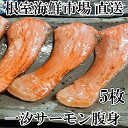 【ふるさと納税】とろサーモンハラミ約300g×5P(計1.5kg) A-14026