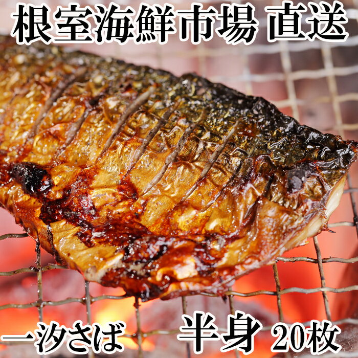 ڤդ뤵Ǽǡ̵źŷХե20 A-14089