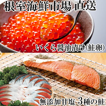 無添加天然甘塩鮭3種各5切、いくら醤油漬け(鮭卵)70g×2P A-14096