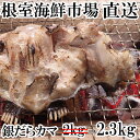 【ふるさと納税】銀だらカマ2.3kg A-14151