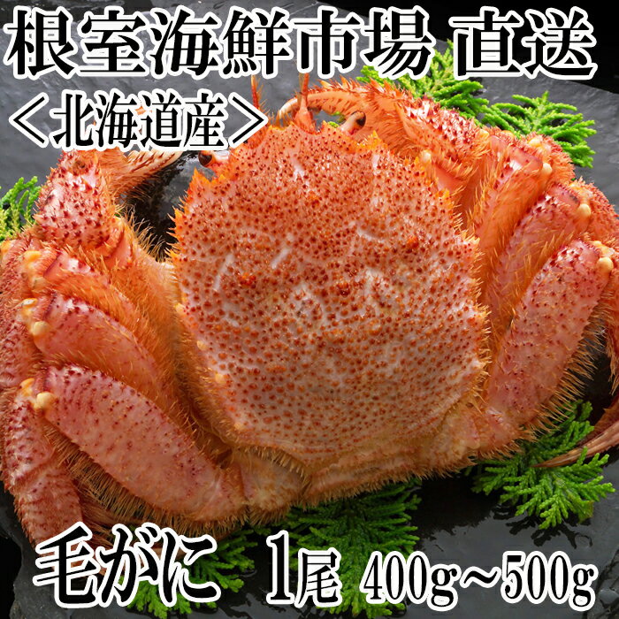 【ふるさと納税】ボイル毛がに400g〜500g×1尾 A-14191