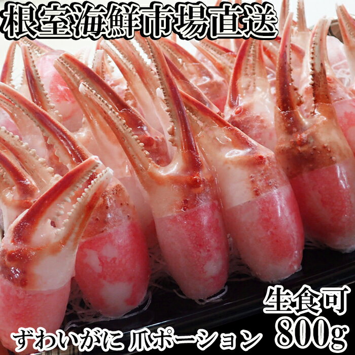 【ふるさと納税】生食用本ズワイガニ爪ポーション800g A-