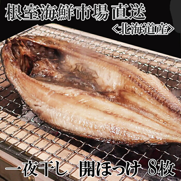 ڤդ뤵Ǽǡ̵źäۤä봳18P A-14252