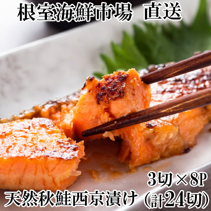 ڤդ뤵ǼǡŷҤ3ڿ8P(24) A-14257
