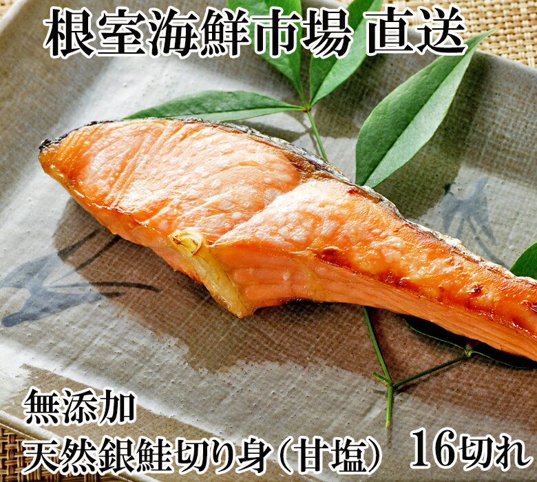 ڤդ뤵Ǽǡ̵źŷڿ16 A-14268