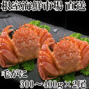 【ふるさと納税】浜ゆで毛がに300〜400g×2尾 B-14