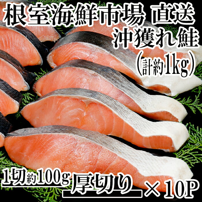 【ふるさと納税】天然沖獲れ鮭1切×10P(約1kg) B-1