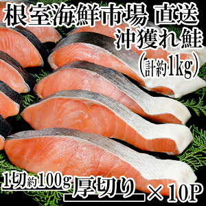 【ふるさと納税】天然沖獲れ鮭1切×10P(約1kg) B-14062