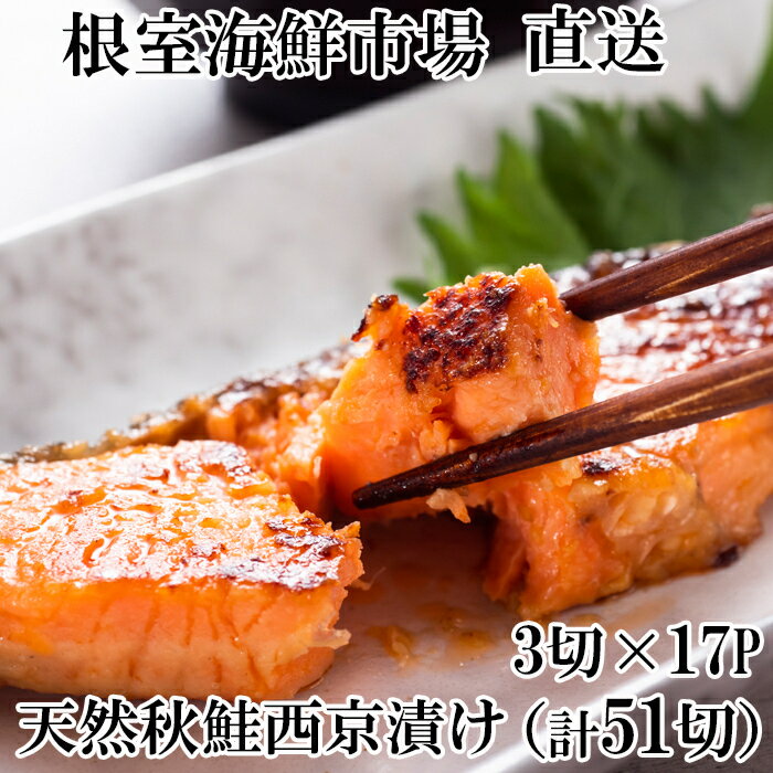ڤդ뤵ǼǡŷҤ3ڿ17P(51) B-14117