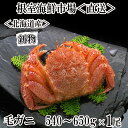 【ふるさと納税】ボイル毛がに540〜650g×1尾 B-14123