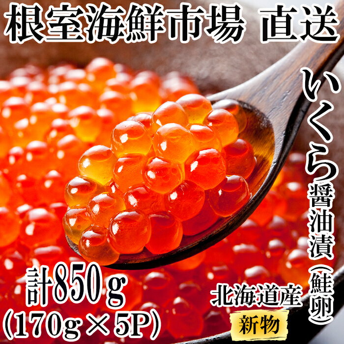 【ふるさと納税】いくら醤油漬け(秋鮭卵)(新物)170g×5P(計850g) C-14022