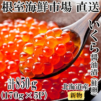 いくら醤油漬け(秋鮭卵)(新物)170g×5P(計850g) C-14022