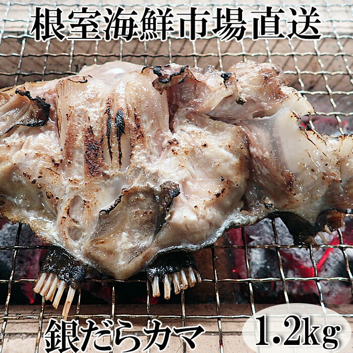 【ふるさと納税】【12月10日決済確定分まで年内配送】 銀だらカマ 1.2kg たら タラ 鱈 ぎんだら 銀ダラ ギンダラ 銀鱈 魚 さかな サカナ お取り寄せ...