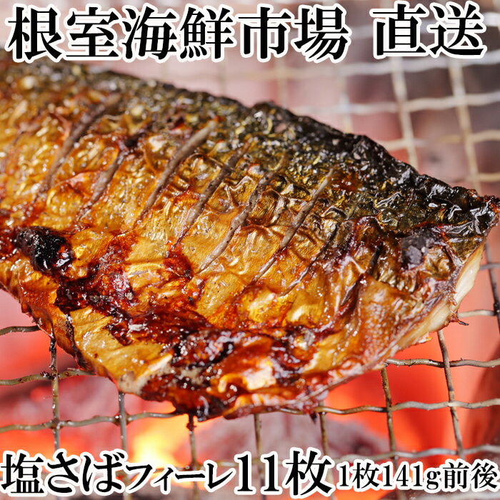 ڤդ뤵Ǽǡ۱Хե111P(1.5kg) G-14021