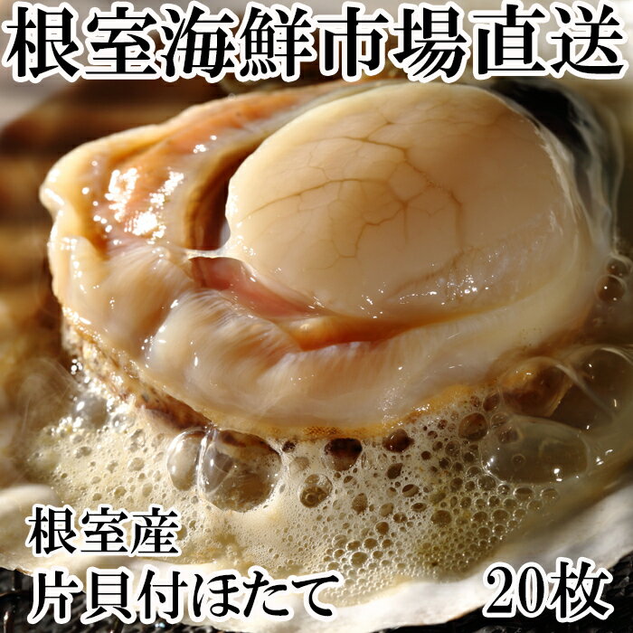 ڤդ뤵Ǽǡ[̳ƻ]ҳۤ20 G-14044