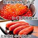【ふるさと納税】 いくら醤油漬け ( 鮭卵 ) 70g × 1P、辛子明太子 300g × 1P からし明太子 辛子めんたいこ からしめんたいこ 明太子 めんた...