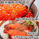 【ふるさと納税】無添加天然紅鮭1切れ真空×5P、いくら醤油漬け(鮭卵)70g×1P G-14068
