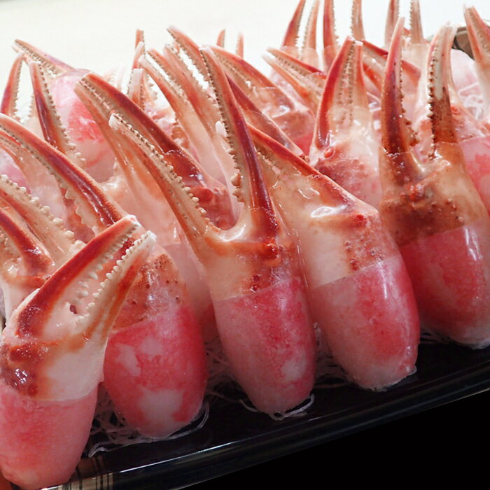 【ふるさと納税】【12月10日決済確定分まで年内配送】 生食用本ズワイガニ爪ポーション ( お刺身・かにしゃぶ・フライ等 ) 選べる 700g 1.5kg ずわ...