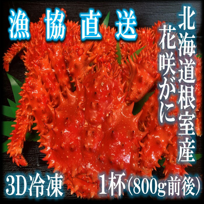 【ふるさと納税】【年内配送】[北海道根室産]花咲がに800g前後×1尾 A-20002のサムネイル