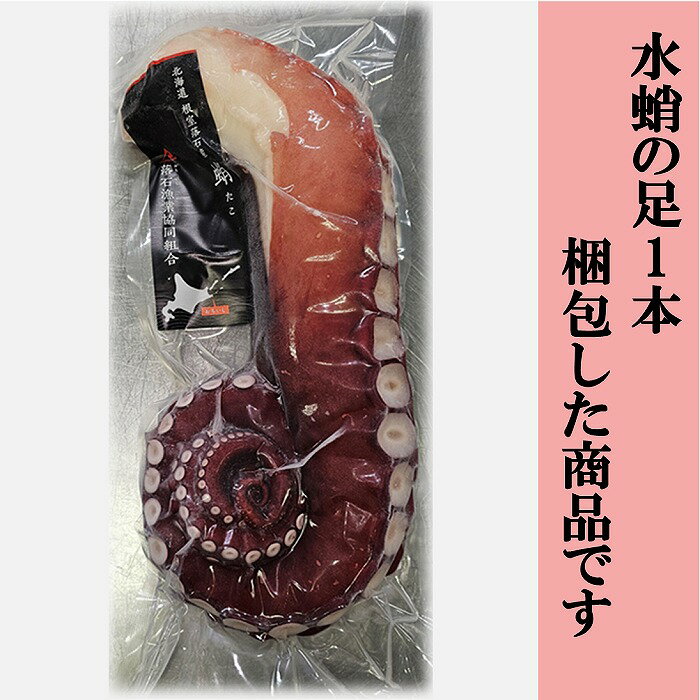 【ふるさと納税】[北海道根室産]ボイル水たこ足 選べる 1本 〜 7本 たこ タコ 蛸 ミズタコ みずたこ 水蛸 水タコ 北海道 根室市