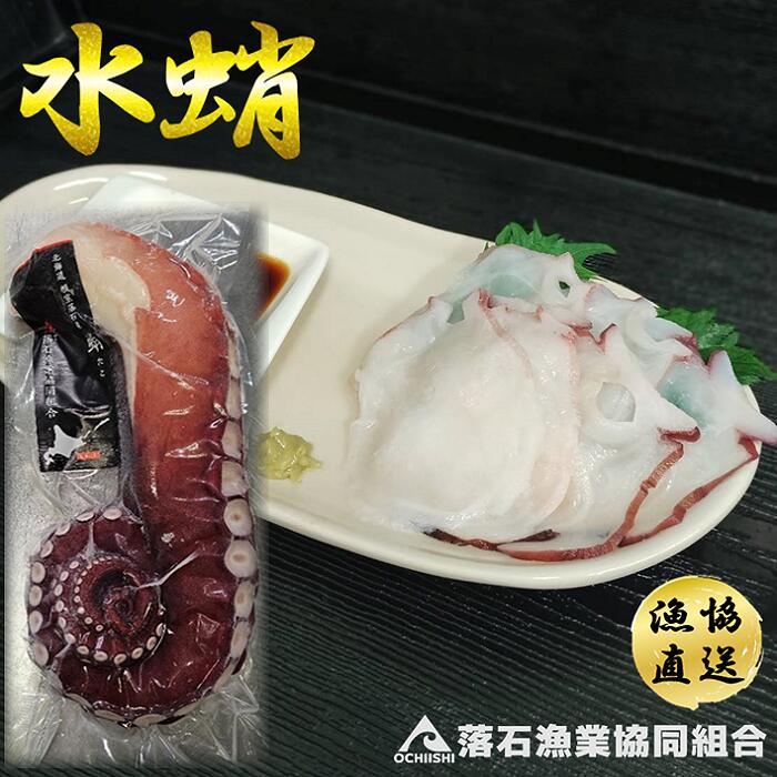 【ふるさと納税】[北海道根室産]ボイル水たこ足 選べる 1本 〜 7本 たこ タコ 蛸 ミズタコ みずたこ 水蛸 水タコ 北海道 根室市