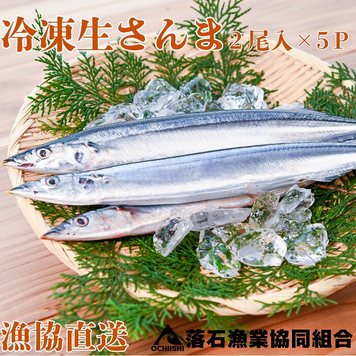 【ふるさと納税】【12月14日決済確定分まで年内配送】 [北海道根室産]冷凍生さんま2尾×5P サンマ 秋刀魚 魚 さかな サカナ お取り寄せ グルメ 海鮮 北海道 根室市 ふるさと納税 G-20006