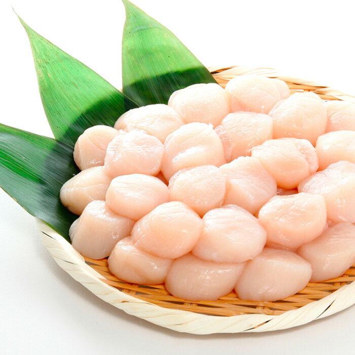 ڤդ뤵Ǽǡۡڶ۵޻ٱʡۡȼԱʡۤƳ1.2kg(ɿȲ) A-24003