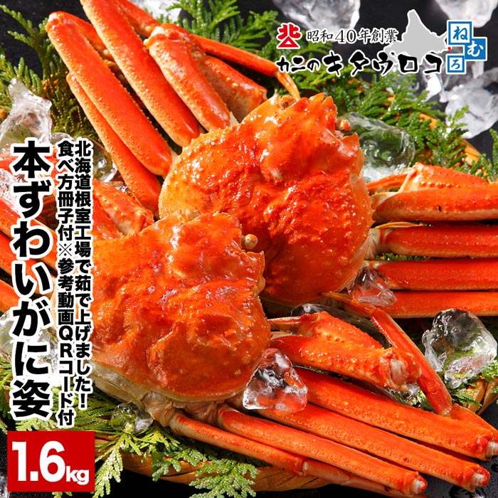 【ふるさと納税】本ズワイガニ2尾(計1.6kg前後) C-25013