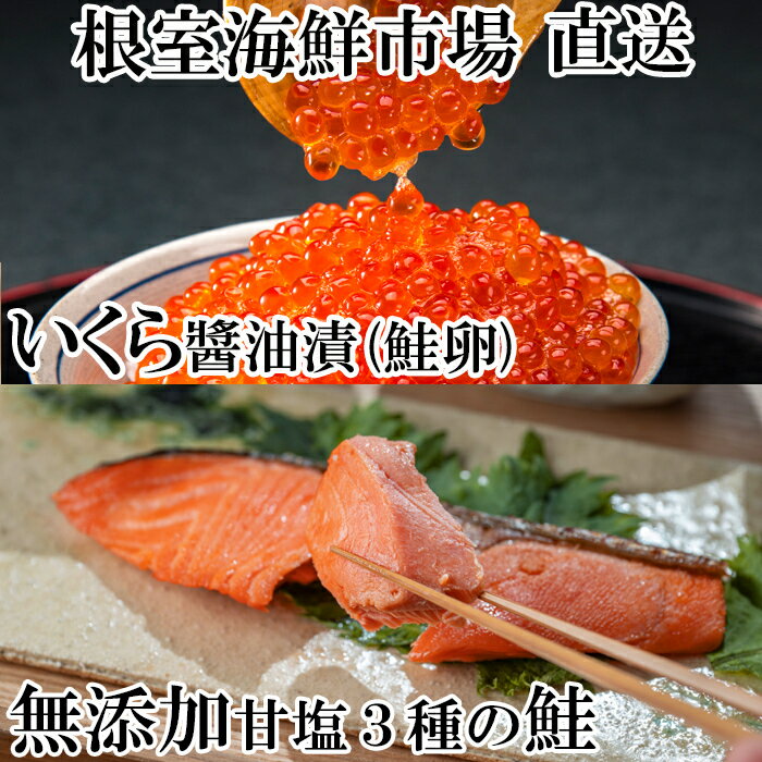 根室海鮮市場[直送]無添加天然甘塩鮭3種各5切、いくら醤油漬け(鮭卵)70g×2P