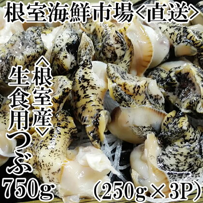 [北海道根室産]根室海鮮市場＜直送＞生食用灯台つぶ250g×3P(計750g) A-28123