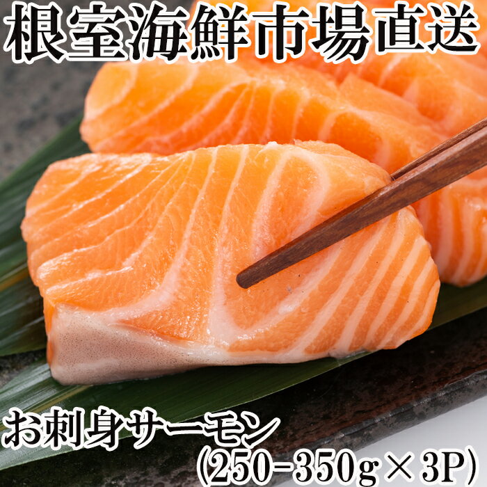 【ふるさと納税】根室海鮮市場＜直送＞お刺身サーモン250〜350g×3P A-28130