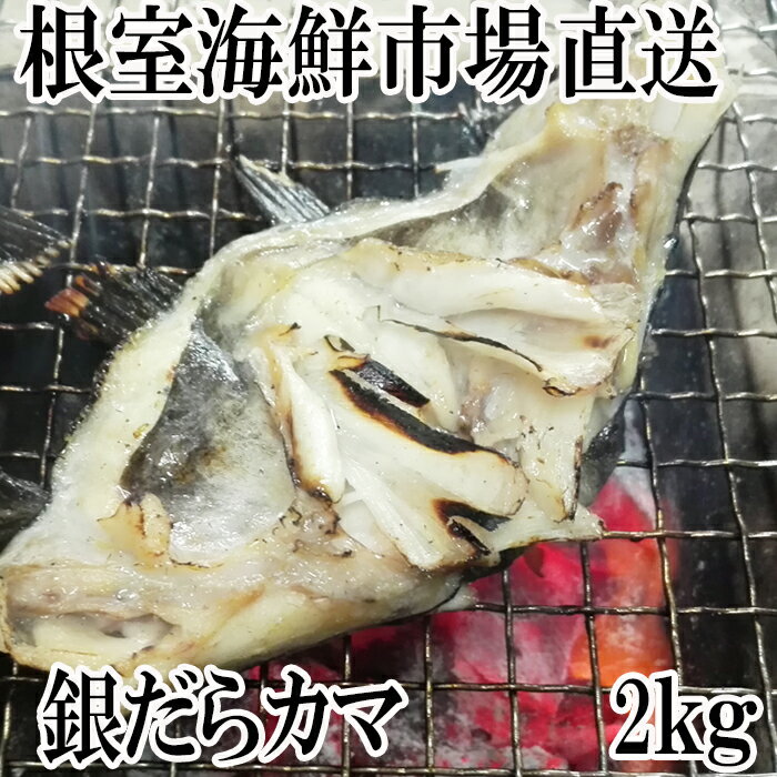 【ふるさと納税】根室海鮮市場＜直送＞銀だらカマ2kg A-28141