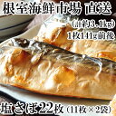 根室海鮮市場＜直送＞塩さばフィーレ11枚×2P「計22枚、約3.1kg(1枚約141g)」 A-28174