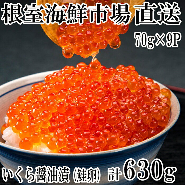 【ふるさと納税】根室海鮮市場＜直送＞いくら醤油漬(鮭卵)70g×9P(計630g) B-28010のサムネイル