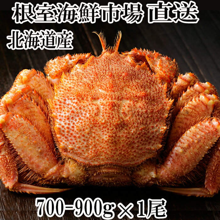 【ふるさと納税】根室海鮮市場＜直送＞ボイル毛がに(新物)700～900g×1尾 B-28020のサムネイル