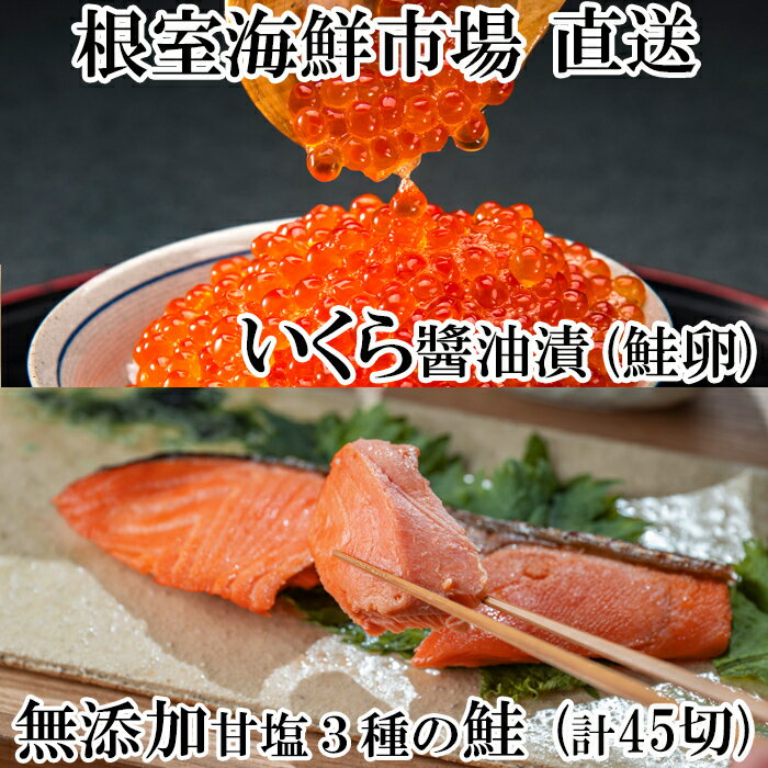 【ふるさと納税】無添加天然甘塩鮭3種各15切、いくら醤油漬け(鮭卵)70g×1P【12月8日決済確定分まで年内配送】 B-28043のサムネイル