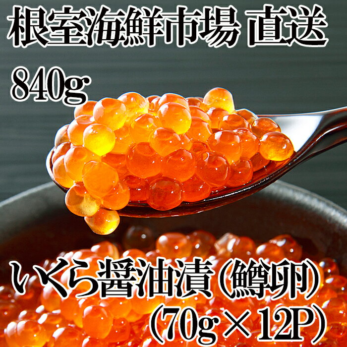 根室海鮮市場＜直送＞いくら醤油漬け(鱒卵)70g×12P(計840g) B-28065